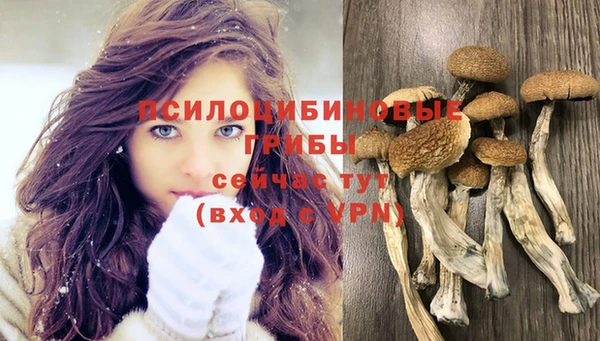 таблы Саяногорск