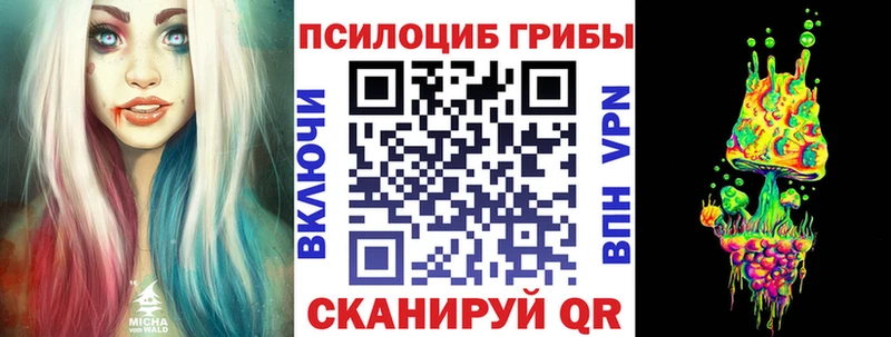 цена наркотик  Спас-Деменск  Галлюциногенные грибы мицелий 